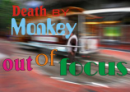 Death By Monkey